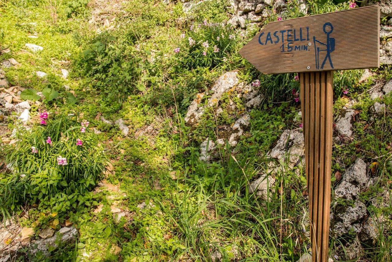 Penzion Castelli Olive Press Acharavi  Exteriér fotografie